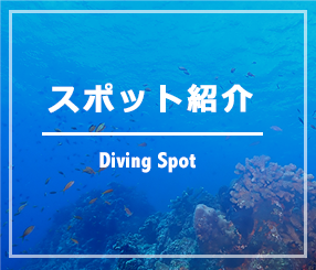 スポット紹介