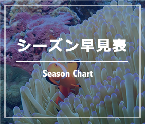 シーズン早見表