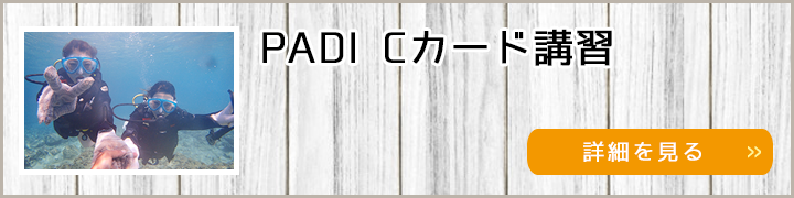 PADI Cカード取得