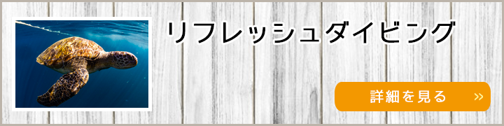 リフレッシュダイビング