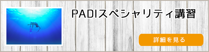 PADI スペシャリティ講習