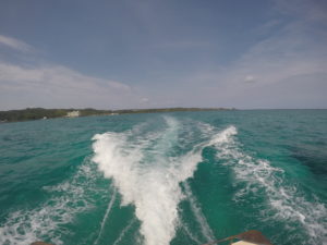 海