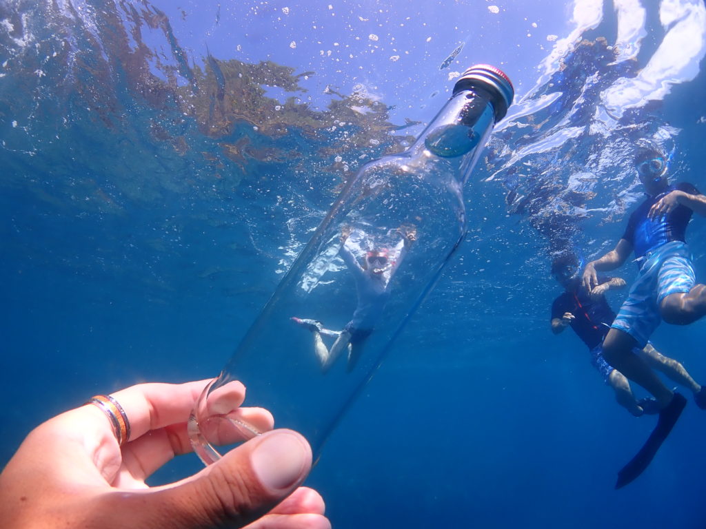 ボトルヒューマン