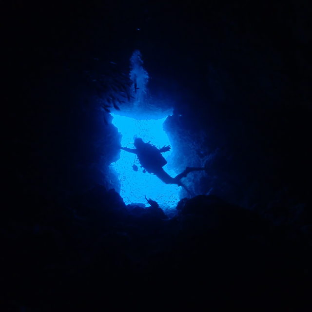 ドリームホール