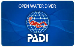 PADI オープンウォーター・ダイバー