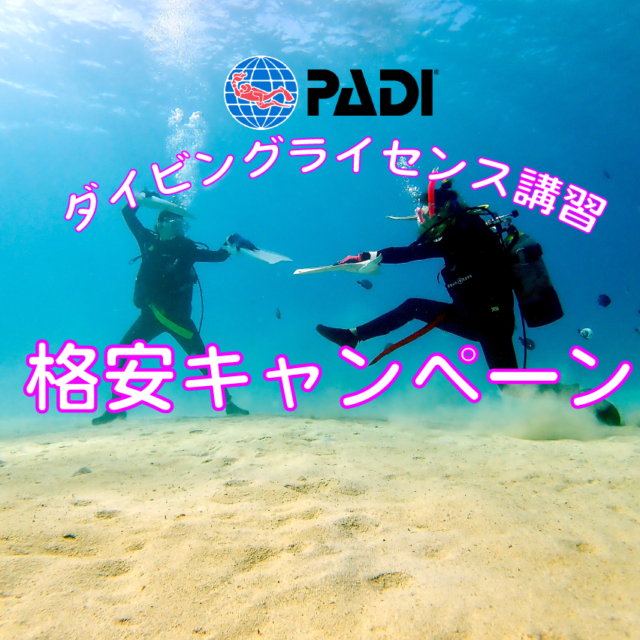 恩納村　ダイビングライセンス　格安