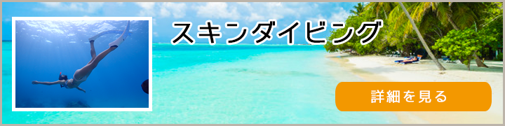 青のmenu01