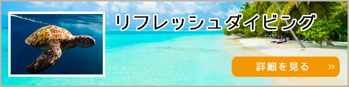 menu01